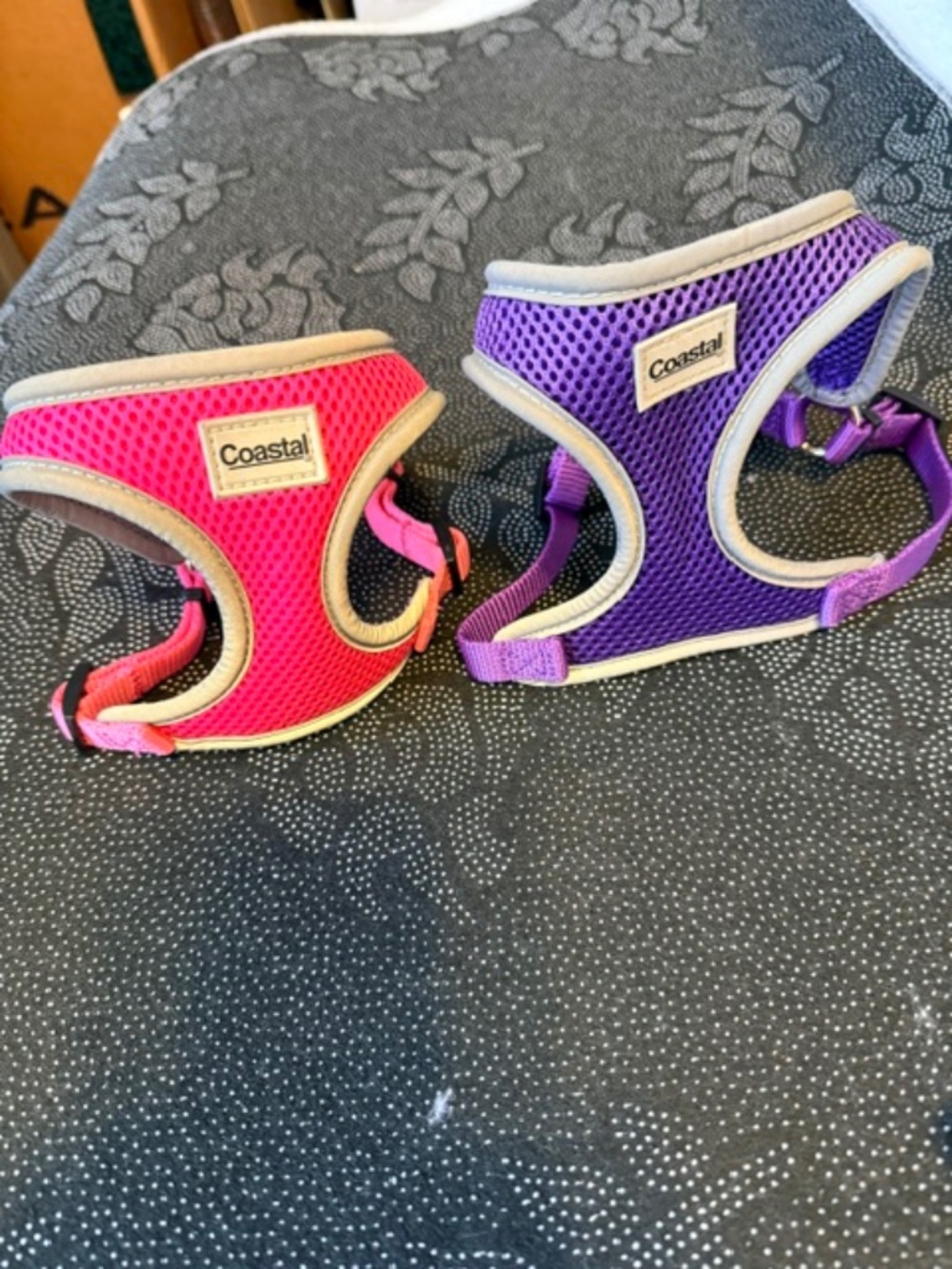 Coastal comfort step in dog harnesses